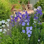 Sandra Snelling - @sandrasnelling - Instagram