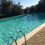 Sandra Snowden - @insightmrfirst - Instagram