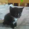 Sandra Soból - @soból - TikTok