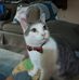 Sandra Sokolowski - Facebook