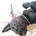 Sandra Sorge - Facebook