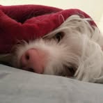 Spalla Sandra - Facebook