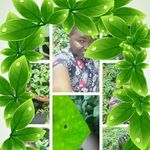 Sandra Sparks Sharom - @sandrasharom - Instagram