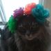 Sandra Sparling - Facebook
