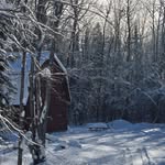 Sandy Plante Sparling - @plantesandy - Instagram