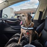 Sandra Speck Walker - @reklaw2004 - Instagram