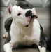 Sandra Spells - Facebook