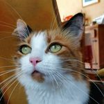 Sandra Mompied Spengler - @sandramompied - Instagram