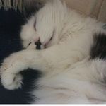 sandra spengler - @sandraspengler01 - Instagram