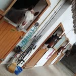 Alexandra (Sandra) Spitz - @groovyranch - Instagram