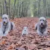 Sandra Spitza - @sandra.spitza - TikTok