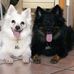 Sandra Tyson Spitz - Facebook