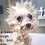 Sandra Sprinkle - @labelle_gram - Instagram