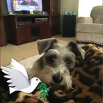 Sandra Spurlock - Facebook