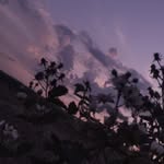 Sandra Sroka - @sroka6359 - Instagram