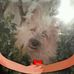 Sandra Stachurski - Facebook