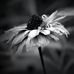 Sandra Starkowski - Facebook