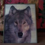Sandra Stapp - @sandra.stapp.79 - Instagram