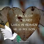 Sandra Stassen - @sstassen - Instagram
