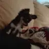 Sandra Stassen - @sandrastassen - TikTok
