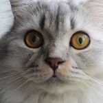 Sandra Stecher - @sandra.stecher.7 - Instagram