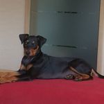 Sandra Hendges-Steffens - @hendgessteffens - Instagram