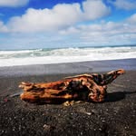 Sandra Steinbach - @photos_by_sandra_stonecreek - Instagram