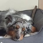 Sandra Steinbach - @steinbach2510 - Instagram