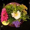Sandra_Steinbrecher - @sandrasteinbrecher - TikTok