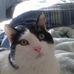 Sandy Stembridge - Facebook