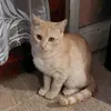 Sandra Stevanovic - @sandrastevanovic23 - TikTok