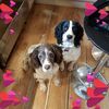 Sandra Steward - @sandrasteward3 - TikTok