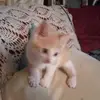 Sandra Steward - @sandra.steward75 - TikTok