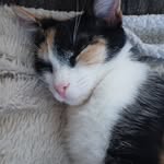Sandra Kay Stiltner - @sandrakaystiltner - Instagram