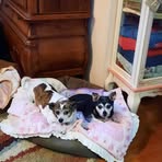 Sandra Stiltner - Facebook