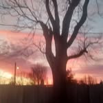 Sandy Stiltner - @sandy.stiltner.7 - Instagram