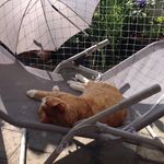 Sandra_von_nebenan - @sandrastorchenegger - Instagram