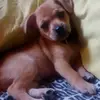 sandrastowe687 - @sandrastowe687 - TikTok