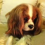 Sandra Strachan - @sandrastrachan119 - Instagram