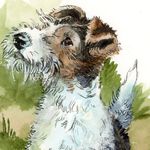 Sandra Strait - @life_imitates_doodles - Instagram