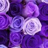 Sandra Strait - @sandrastrait20077 - TikTok