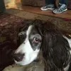 Sandra Strange - @sandra.strange - TikTok
