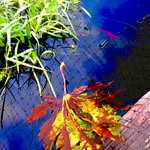 Sandra Strayer - @sandrastrayer5 - Instagram