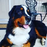 @sandrastrayer7 - Instagram