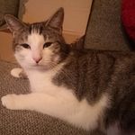 Sandra Adam-Stricker - @adamstrickersandra - Instagram