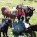 Sandra Stricker - Facebook