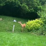 Sandra Stricker - @sandarstricks - Instagram