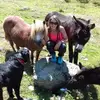 sandrastricker49 - @sandrastricker49 - TikTok