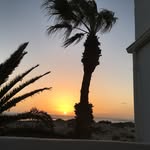 Sandra Stride Mansi - @sandrastridemansi - Instagram