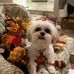 Sandie Stringham - Facebook